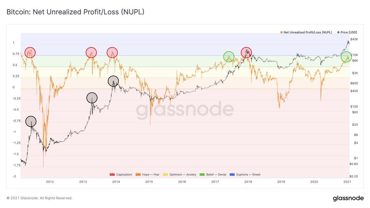 Bitcoin NUPL.jpeg