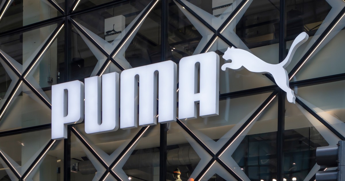 puma_1200.jpg