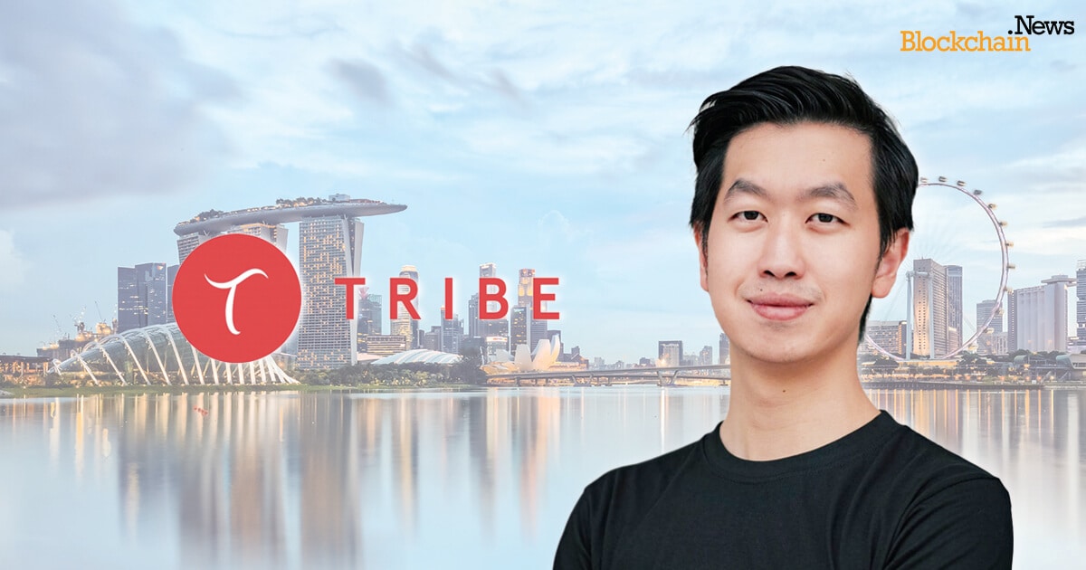 Tribe Accelerator Blockchain News.jpg