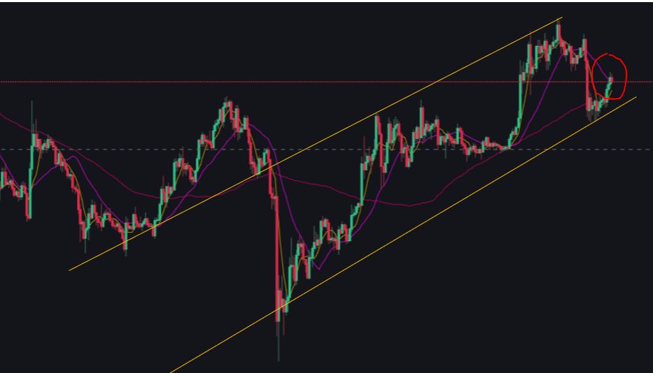 why is bitcoin going down 2022