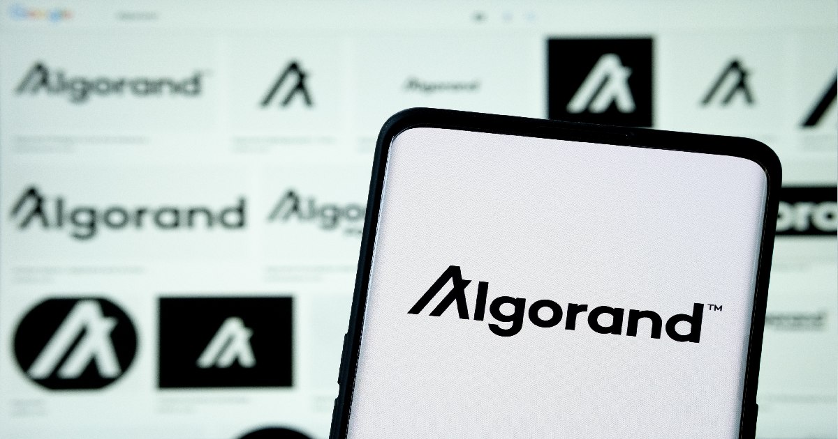 Algorand Foundation Faces $35M Losses from Exposure to Hodlnaut