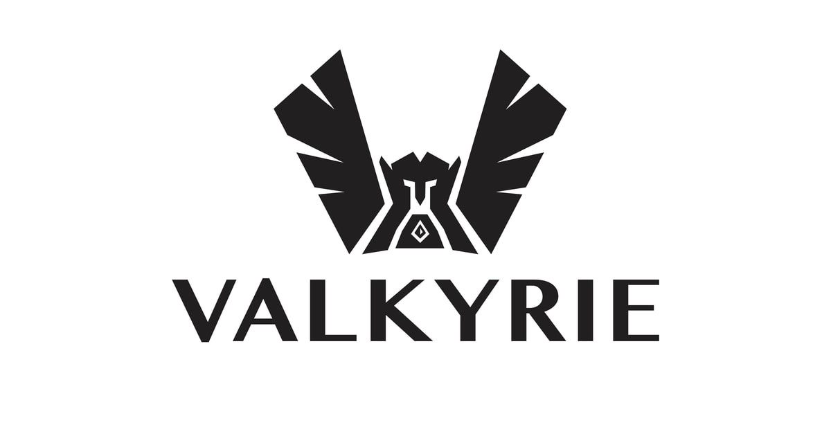 sec rejects valkyrie kryptoin bitcoin