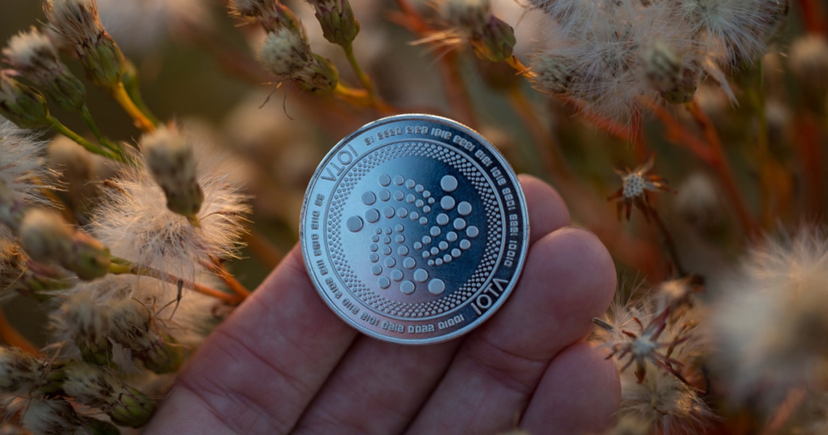 IOTA introduces data sharding in progress for Nectar.jpg