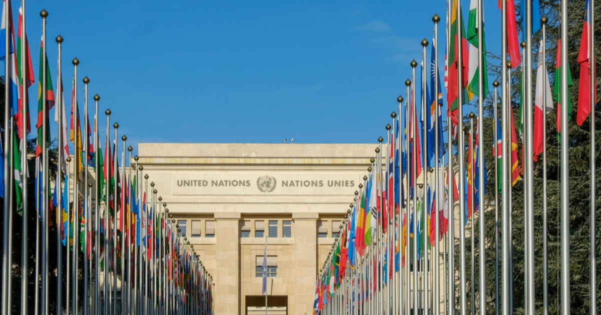 UNDP_United Nations Flag_blockchain_BitFury.jpg