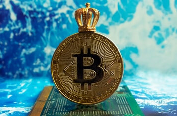 Bitcoin Crowned ‘Most Viewed Asset in the US’ Last Month, Along with Tesla Stock