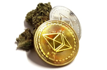 Blockchain Technology Reduces Cash Reliance In The Cannabis Industry