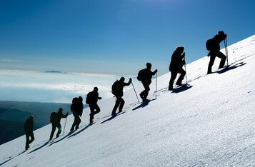 Litecoin Surpasses Bitcoin SV by Market Cap and Outperforms Other Major Cryptos