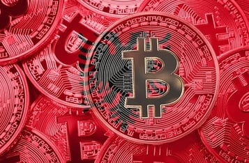 Albania to Begin Levying Crypto Tax Next Year, Report says