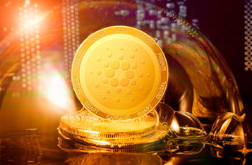 Charles Hoskinson：Elon Musk可以对具有委托民主治理模式的Cardano网络发表意见