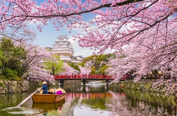 Japanese Investment Giant Climbs to Fourth in Corporate Bitcoin Holdings