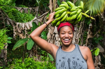 Blockchain Startup Agriledger Launches Ecosystem of Transparency and Opportunity For Haitian Farmers