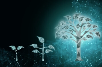 Dynasty Farms to Use Blockchain for Fresh Produce Traceability Project