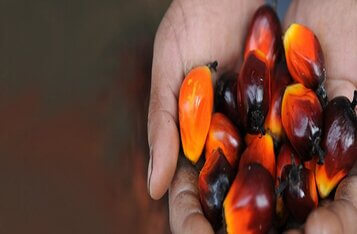 (Rejected) Malaysia to Integrate Blockchain Technology for its Palm Oil Industry
