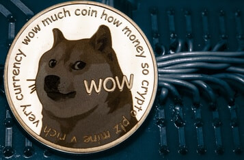 DOGE Price Frenzy: Mike Novogratz and Peter McCormack Warn Dogecoin Bull Run Will End Poorly