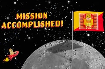 DOGE Price Drops 10.86% Despite Whale Accumulation of 158 Million Tokens