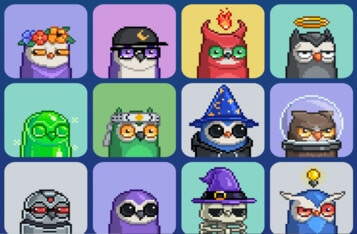 Is Moonbirds NFT Collection the New Bored Ape Yacht Club?