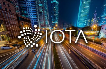 Chronicle: The Long Term Data Solution for IOTA
