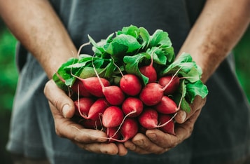 How Can Blockchain Be Used to Save $31 Billion in Costs in the Food Industry?