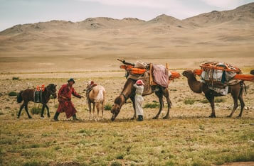 Canadian Blockchain Project to Assist Mongolian Nomadic Farmers Fight Income Instability