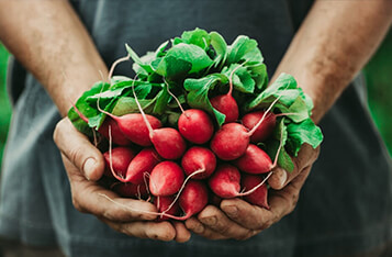 区块链如何帮助食品行业节省310亿美元的成本？