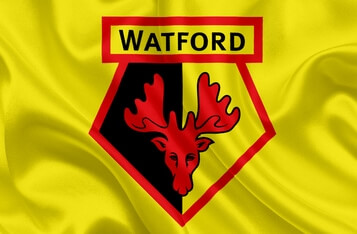 Bitcoin Begins to Attain Better Mass Adoption Status as Watford Accepts It in Sales of Merchandise