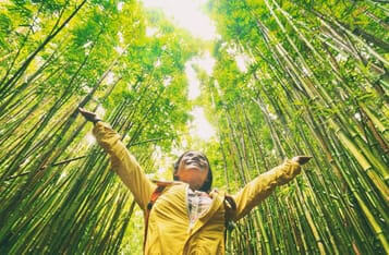 (Rejected: 4) Singapore-Based Company to Develop an Innovative Blockchain and IoT Platform for Ecological Conservation