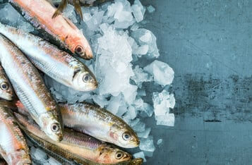 World Wide Fund for Nature in the Philippines to Create Blockchain-Powered Fish Traceability App