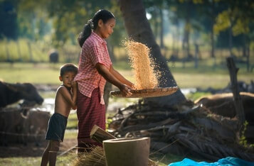 Thailand’s Trade Policy Office to Trace Agricultural Products from Farm to Export Using Blockchain
