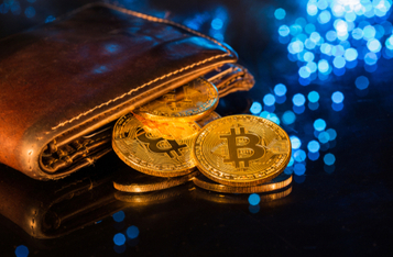 Bitcoin Wallets Holding 10 BTC or More Decrease as Bitcoin Price Struggles to Hold $10,000