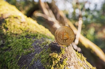 Climate Activists, Billionaire Launch Campaign to Tackle Bitcoin's Impact on Environment