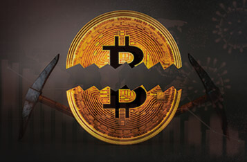 Can We Expect a Bitcoin Bull Run Amid the Upcoming Bitcoin Halving and Coronavirus Pandemic?