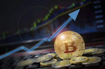 Bitcoin Price Is Approaching Euphoric Levels as Addresses with More Than 1000 BTC Hit All-Time High